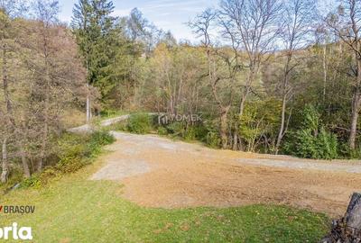 Teren de 37723 mp, în Bran - 3