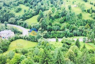 TEREN Izvoru Muntelui, langa orasul BICAZ - 9