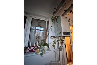 REA1024384 3 camere Pajura l centrala proprie l boxa de 9mp - 9