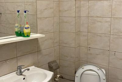 Apartament cu 2 camere semidecomandat, mobilat în Unirii - 13