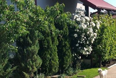 Vila - parter + mansarda -   Sendreni,  jud. Galati - 2