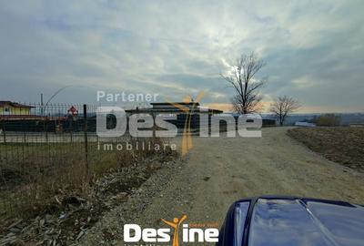 Teren Construcții intravilan de 8100 mp, în Dumești - 2