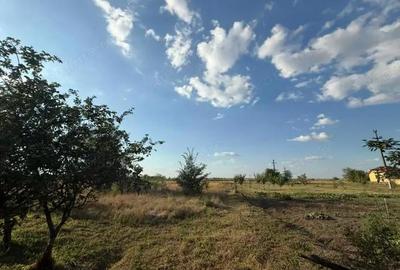 Casă cu 3 camere în Cruceni - 10