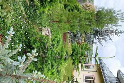 Casă cu 6 camere cu Teren 937 Mp în Mogoșești - 3