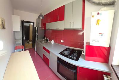 Apartament cu 2 camere decomandat în Jiului - 5
