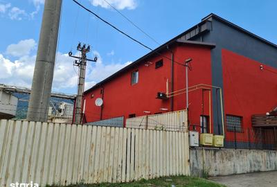 Spațiu comercial, de 400 mp, în Valea Borcutului - 10
