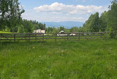 Teren de 800 mp, în Râșca - 4