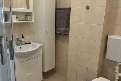 Apartament cu 4 camere decomandat în Central - 4