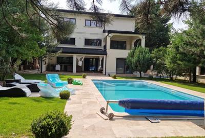 Casă cu 7 camere cu Piscina în Pipera - 11
