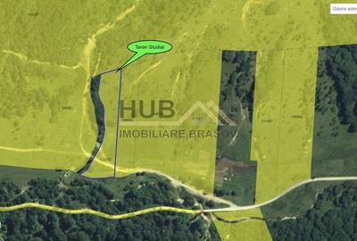 Spațiu comercial, în Părău - 3