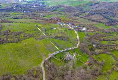 Teren Construcții intravilan de 33500 mp, în Valea Orlei - 7