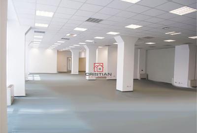 Birouri Theodor Pallady, Bucuresti - 4