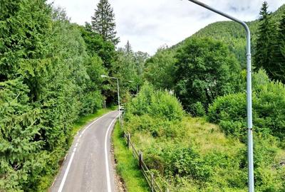Teren Intravilan Poiana Brasov - 15