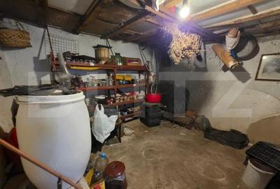 Casa cu teren generos ?i balta de pescuit Gae?ti - 11