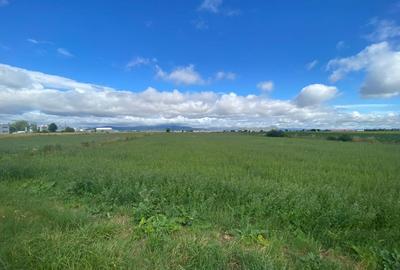 Teren extravilan, 7000mp,  Cristian - 1