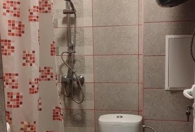 Apartament de inchiriat cu o camera zona Tractorul - 3