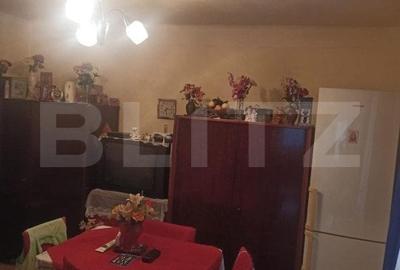 Casa cu 2 camere, 52mp, zona Remetea - 13