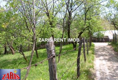 Teren de 3658 mp, în Bobicești - 11