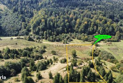 Spațiu comercial, în Părău - 4