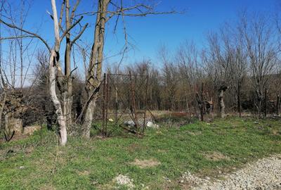 Teren de 1300 mp, în Exterior Vest - 8