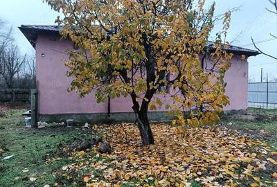 Casă în Central - 2