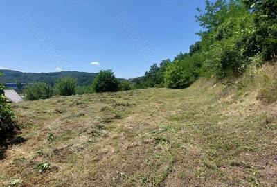 Teren de 1500 mp, în Marginea