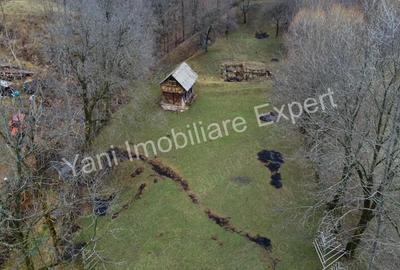 Teren de vanzare in comuna Arefu, jude? Arge?. - 10