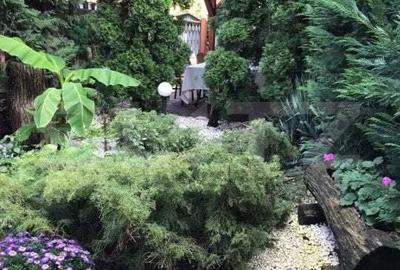 Casă cu 24 camere cu Teren 1380 Mp în Mehala - 15