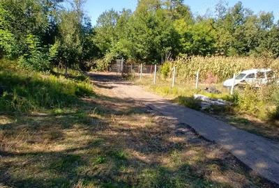 Casă cu 2 camere în Ursoaia - 3