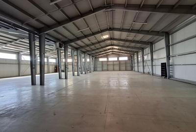 Spatiu industrial/comercial stradal pe soseaua Berceni - 5