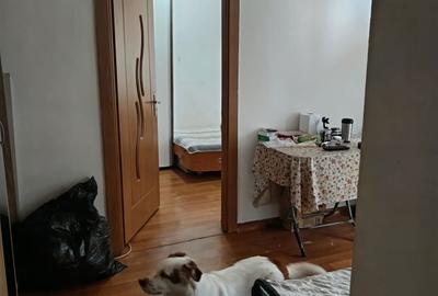 Apartament cu 2 camere semidecomandat în Voivodeni - 3