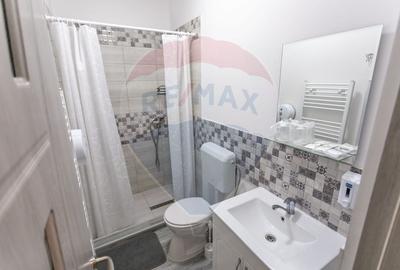 Pensiune agroturistica cu 6 camere + Casa de locuit, de vanzare - 13