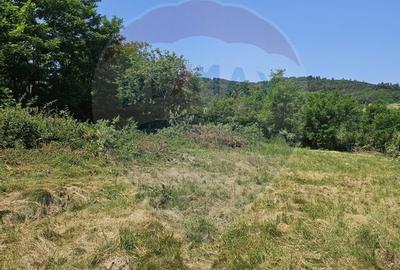 Teren  intravilan  de vanzare Oras  Saliste  Strada Livezii Jud. Sibiu - 4
