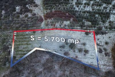 Teren Construcții intravilan de 5700 mp, în Exterior Sud - 4