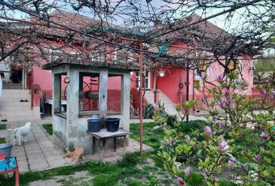 Casă cu 3 camere în Bretea Română - 4