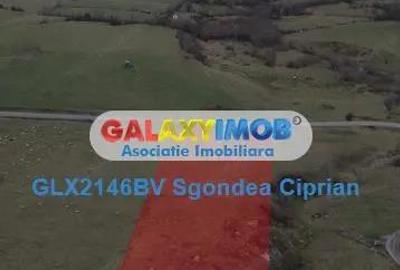 Teren Intravilan Sohodol 5 km Bran 10000 Mp - 3