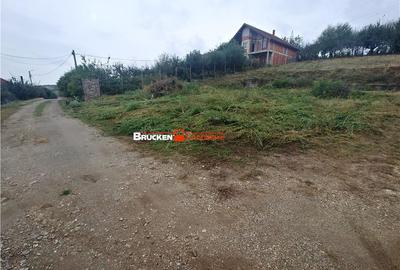 Teren de 1236 mp, în Petreu - 5