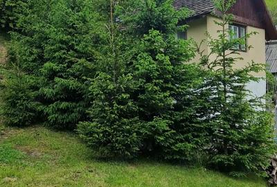 Teren de 4800 mp, în Căpâlna - 2