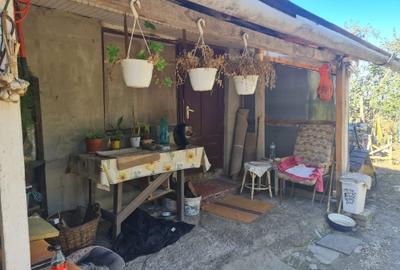 Casă cu 3 camere în Cihei