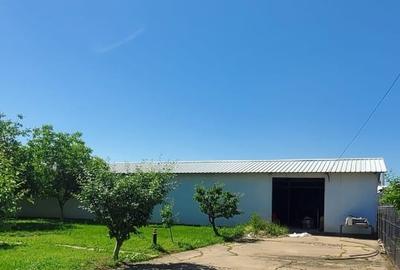Spațiu industrial, de 19,000 mp, în Petrești - 8