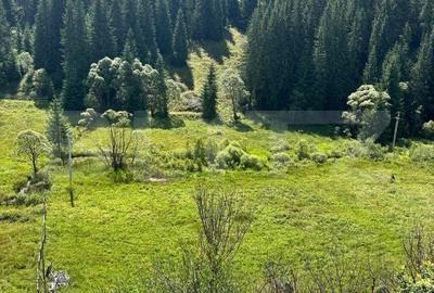 Spațiu comercial, în Mestecăniș