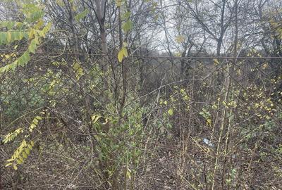 Teren in suprafata de 2165 mp cu front de 30 ml - 2