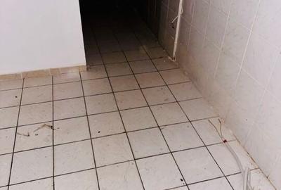 Armeneasca - Bd. Carol I stradal spatiu comercial 54 mp utili - 7