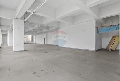 Cladire unica cu destinatii multiple de vanzare Ultracentral Arad - 23
