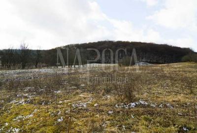 Teren extravilan pentru constructii de vanzare in Popesti - 3