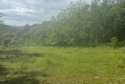 Spațiu comercial, în Ocnele Mari - 3