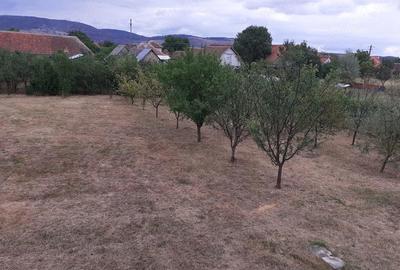 Casă cu Teren 2000 Mp în Central - 1