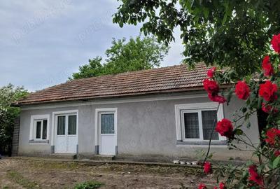 Casă cu 5 camere cu Teren 1351 Mp în Tânganu - 1