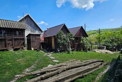 Casă cu 3 camere în Chiochiș - 8