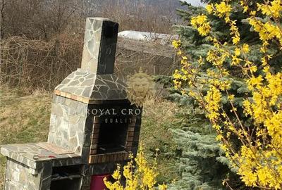 Casa de Vacanta cu piscina si sala fitness | Cornu de Jos - 7